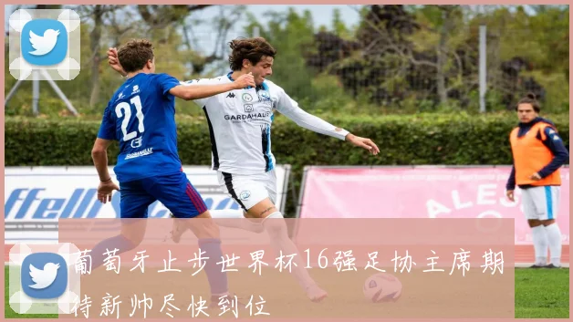 葡萄牙止步世界杯16强足协主席期待新帅尽快到位