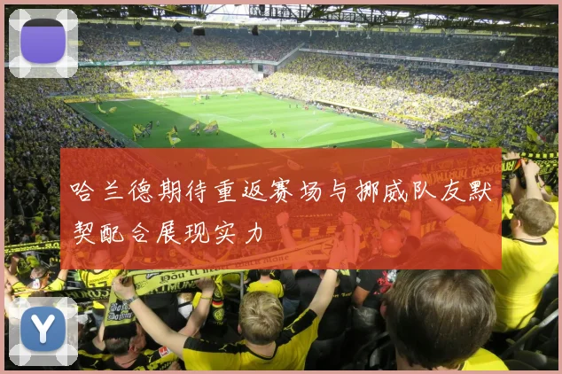 哈兰德期待重返赛场与挪威队友默契配合展现实力